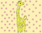 Desenho Girafa pintado por lindona