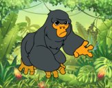 Gorila-das-montanhas