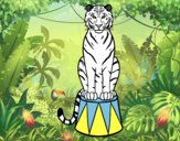 Desenho Tigre do circo pintado por jessica99