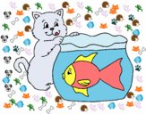 Desenho Gato e peixe pintado por mcmazer