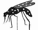 Desenho Mosquito pintado por marilize