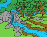 Desenho Paisagem da floresta com um rio pintado por JuliaKilim