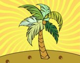 Desenho Uma palmeira pintado por Gauchinha