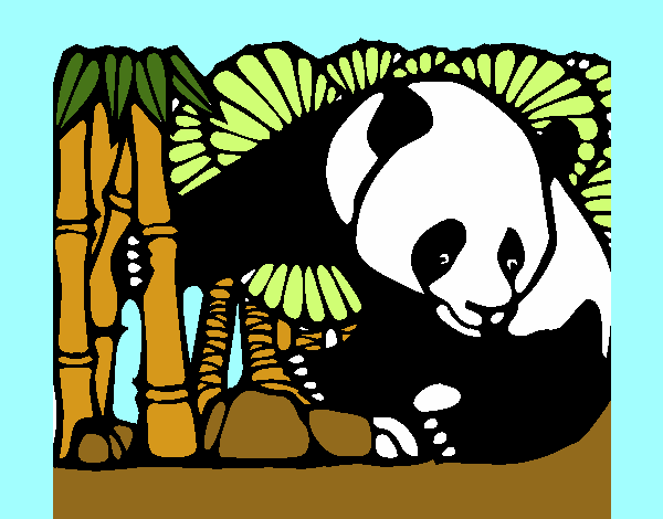 Desenho de Um urso panda pintado e colorido por Aninhaela o dia 18