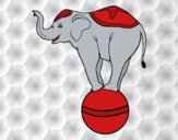 Desenho Elefante equilibrista pintado por IgorF