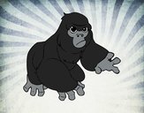 Gorila-das-montanhas