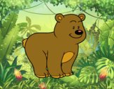 Desenho Urso simpático pintado por ImShampoo