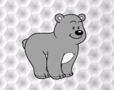 Urso simpático