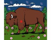 Desenho Búfalo pintado por hinary