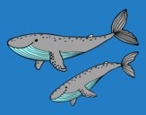 Desenho Baleias pintado por ameireles