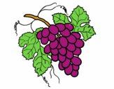 Desenho Cacho de uvas pintado por ameireles