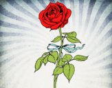 Desenho Uma rosa pintado por MorvanProf