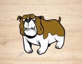 Desenho Cão buldogue inglês pintado por ImShampoo
