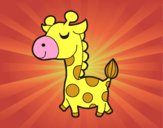 Girafa vaidosa