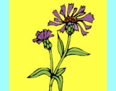 Desenho Flores de campo pintado por carmasiana
