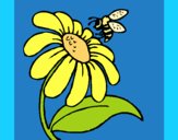 Desenho Margarida com abelha pintado por carmasiana