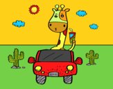 Girafa de condução