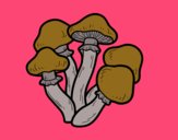 Desenho Cogumelos venenosos pintado por ceciliaz