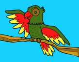 Desenho Papagaio en liberdade pintado por ceciliaz