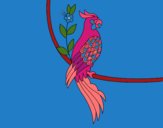 Desenho Tatuagem de papagaio pintado por ceciliaz