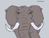 Desenho Elefante africano pintado por ceciliaz