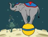 Desenho Elefante equilibrista pintado por ceciliaz