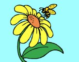 Desenho Margarida com abelha pintado por Craudia