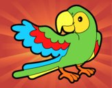 Desenho Papagaio abrir a asa pintado por jabuti