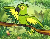 Desenho Papagaio en liberdade pintado por ImShampoo