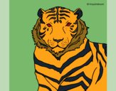 Desenho Tigre pintado por ceciliaz