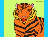 Desenho Tigre pintado por jabuti