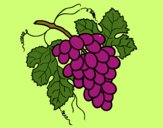 Desenho Cacho de uvas pintado por Valeriah