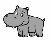 Desenho Hipopótamo jovem pintado por caiocesar
