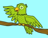 Desenho Papagaio en liberdade pintado por Valeriah