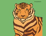 Desenho Tigre pintado por Craudia