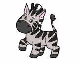 Uma zebra africana