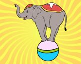 Desenho Elefante equilibrista pintado por Craudia