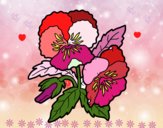 Flores de amor-perfeito