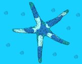 Desenho Estrelita do mar pintado por ceciliaz