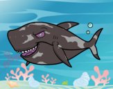 Desenho Tubarão dentuço pintado por ceciliaz