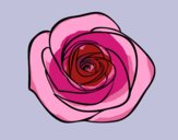 Desenho Flor de rosa pintado por ceciliaz