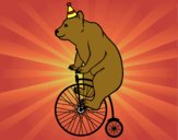 Desenho Urso em uma bicicleta pintado por Cinthya