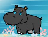 Hipopótamo jovem