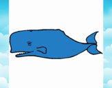 Baleia azul