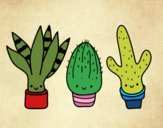 Desenho Mini cactus pintado por Morais