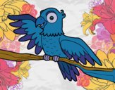 Desenho Papagaio en liberdade pintado por rosalina