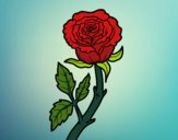 Desenho Rosa selvagem pintado por Morais