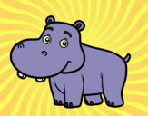 Desenho Hipopótamo jovem pintado por ANALUMA 