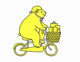 Urso ciclista