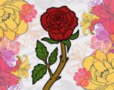 Desenho Rosa selvagem pintado por lohmann